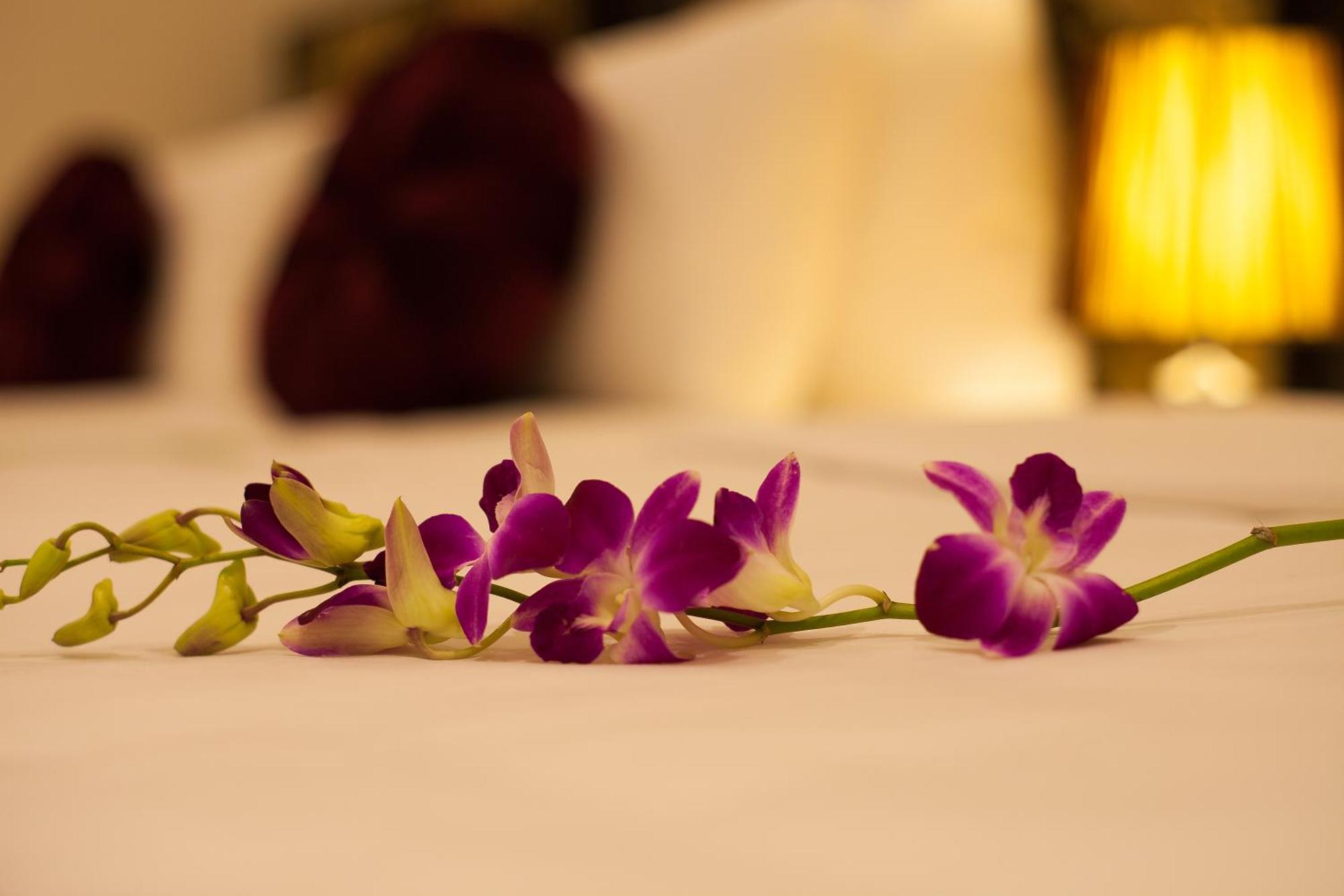 Serenity Diamond Hotel — Photos 2